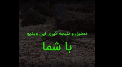 Analysis video with you - تحلیل و نتیجه گیری ویدیو با شما ...