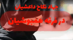 those-who-found-their-way-3