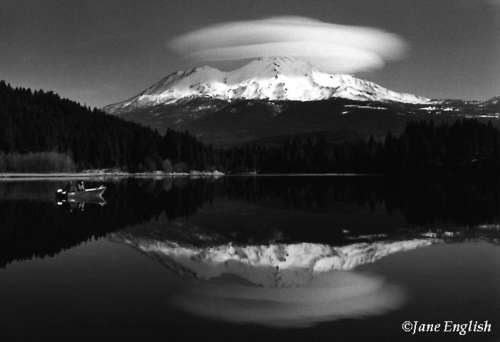 فریب پیروان یمانی