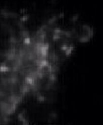 دستی در آسمان و نسبت آن به احمد الحسن بصری