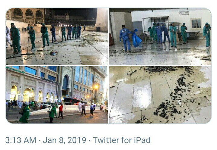 حمله ملخ های سرخ